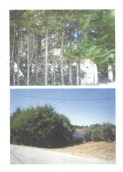 DocScan (3)97